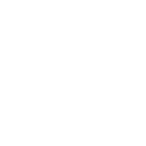 OBSCYR
